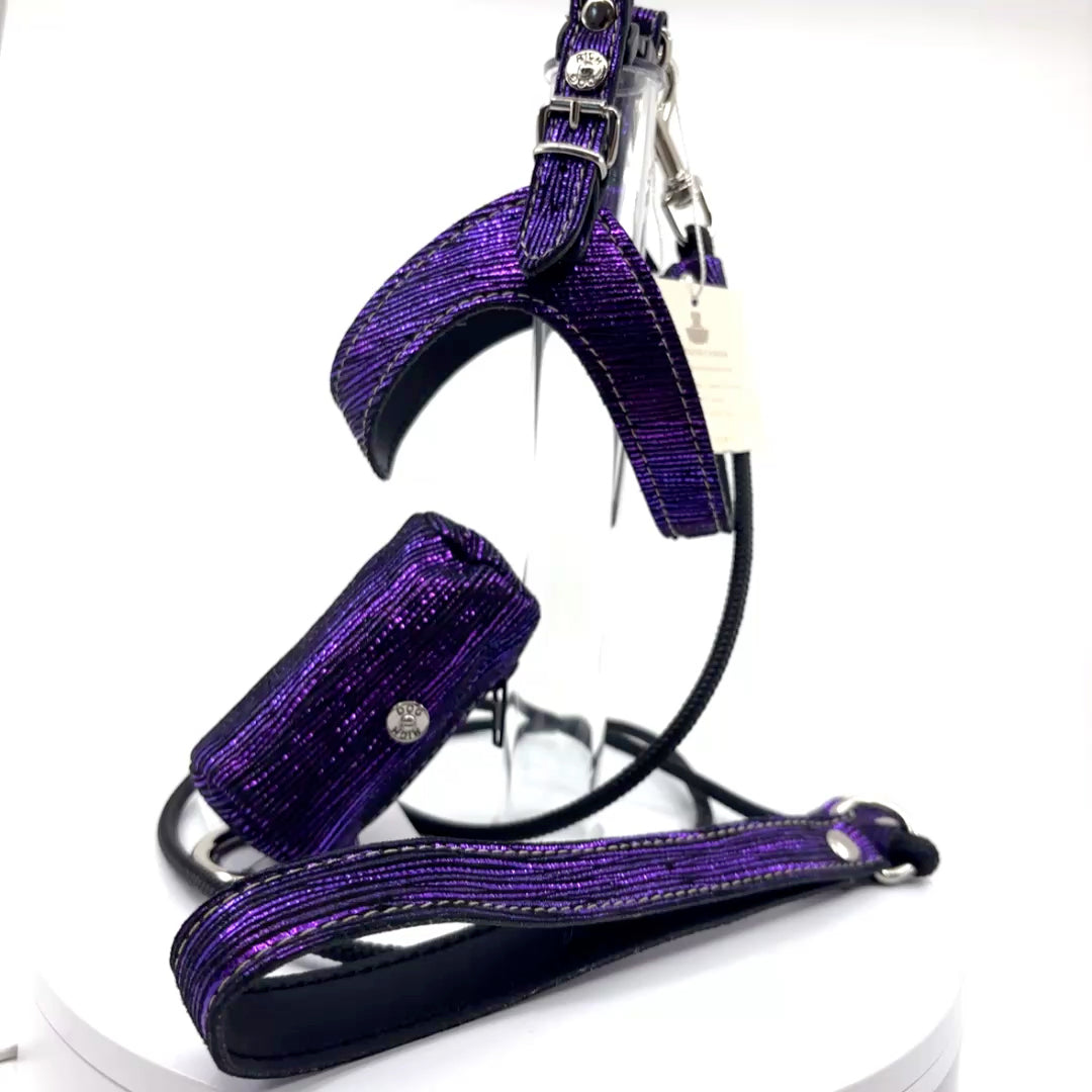 Harnais cuir souple confortable et chic violet paillettes vendu avec sa laisse
