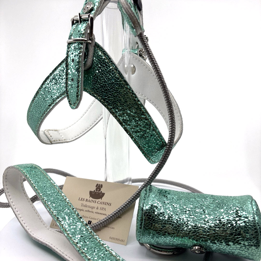 Harnais cuir souple confortable et chic vert d’eau paillettes vendu avec sa laisse