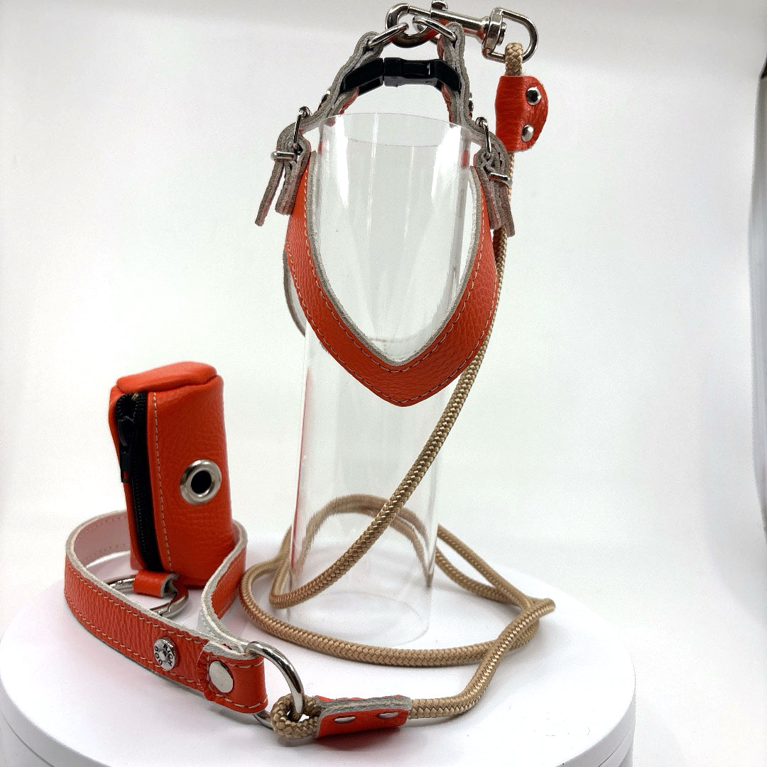 Harnais cuir souple confortable et chic Orange vitamine vendu avec sa laisse
