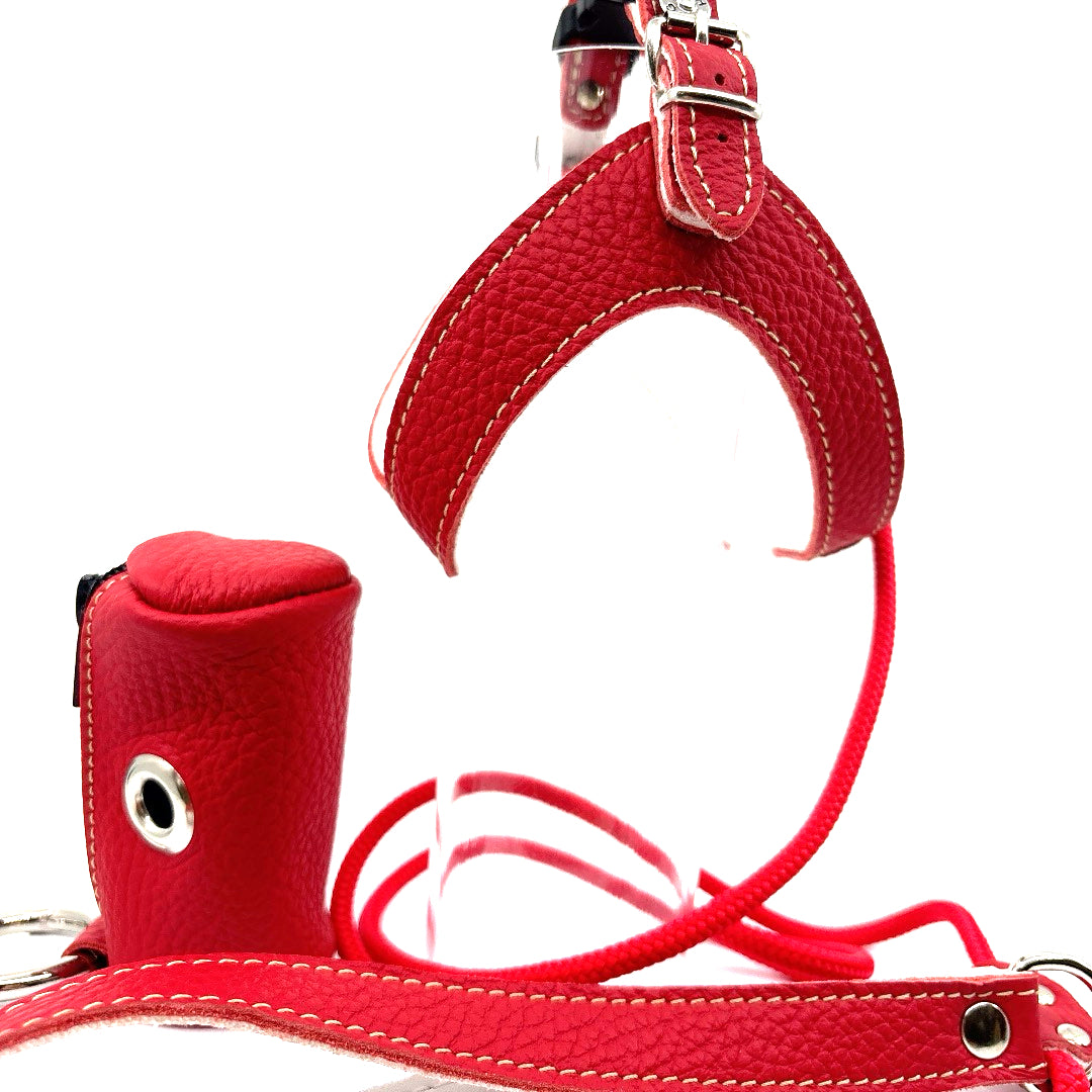 Harnais cuir souple confortable et chic Rouge vendu avec sa laisse