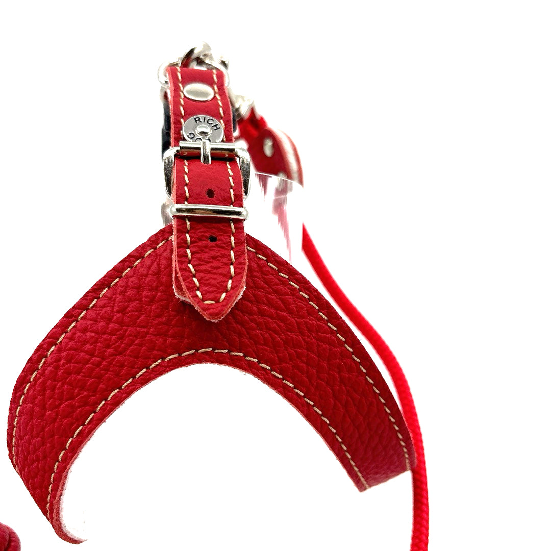 Harnais cuir souple confortable et chic Rouge vendu avec sa laisse