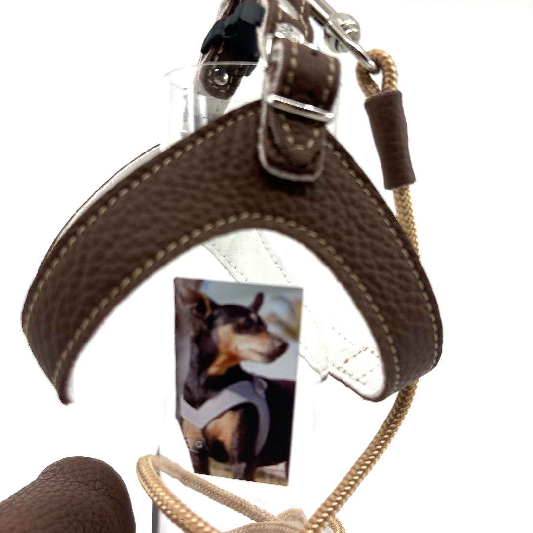 Harnais cuir souple confortable et chic Chocolat Chaud vendu avec sa laisse